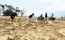 Đất trồng hoa màu ven sông Vu Gia bị bồi lấp sau lũ 1m-1,5m, nông dân rốn lũ Đại Lộc 'khóc nghẹn'