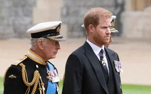 Sự thật về video Hoàng tử Harry 'mất kiểm soát' vì kết quả xét nghiệm DNA