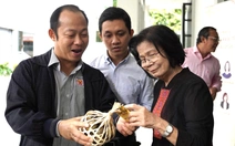 Tết này, người tiêu dùng sẽ thắt chặt mua sắm?