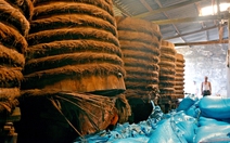 Vùng sản xuất nước mắm Phan Thiết điêu đứng vì lũ 'nuốt' sạch muối, cuốn trôi hàng vạn lít mắm