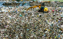 Cà Mau: Không đánh đổi môi trường, nhà máy rác phải đạt chuẩn sạch