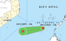 Vùng áp thấp gây gió mạnh trên Biển Đông, Nam Bộ có mưa
