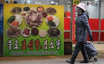 Thịt chó sắp bị cấm, hàng trăm trang trại Hàn Quốc tự nguyện 'khai tử'