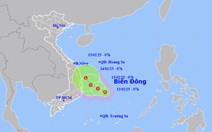 Nam Trung Bộ kêu gọi tàu thuyền tránh áp thấp nhiệt đới trên Biển Đông