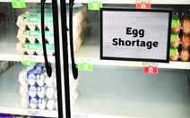10 vạn quả trứng mất trộm và 'khủng hoảng ốp la'