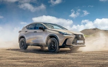 Lexus NX thêm bản Overtrail cho giới nhà giàu thích off-road