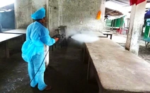 Ráo riết phòng chống dịch tả heo châu Phi