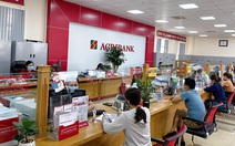 Agribank đẩy mạnh cho vay sản xuất, kinh doanh lúa gạo