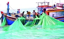 Nước mắm An Dũ, phận buồn man mác
