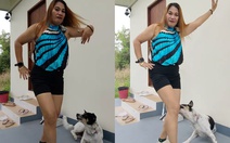 Bị chó táp khi nhún nhảy làm màu