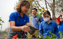 Ngày 'Đoàn viên': Bạn trẻ Hà Nội làm đẹp đường phố