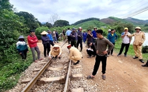 Nguy hiểm rình rập tại hàng loạt lối đi tự mở cắt qua đường sắt Bắc - Nam