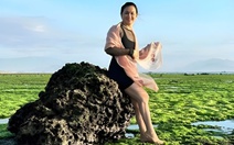 Mê mẩn cánh đồng rêu xanh tuyệt đẹp ở Ninh Thuận