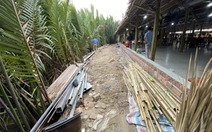 Thành phố Hội An bắt đầu 'dẹp loạn' ở rừng dừa Cẩm Thanh