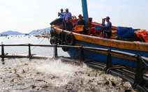 Khánh Hòa thí điểm nuôi biển xa bờ 3- 6 hải lý
