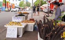 Những loại trái cây của ký ức tuổi thơ trên đường phố TP.HCM