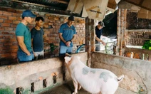 Đề xuất ưu đãi thị thực cho giới siêu giàu để thu hút du lịch cao cấp