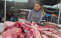 Vì sao giá heo hơi miền Nam đang cao nhất cả nước?