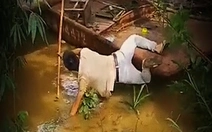 Pha nhảy sào ngã xuống lòng sông
