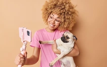 Mất niềm tin với KOLs, dân mạng chuyển sang tin chó mèo