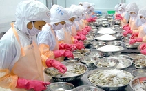 Cổ đông phản ứng về thuế, lãnh đạo công ty tôm nói gì?
