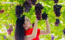 Suối Tiên rộn ràng đón khách lễ 30-4