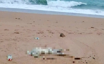 Thi thể nam không đầu trôi dạt vào bờ biển Phú Yên