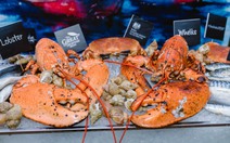 Tôm hùm, cua nâu tươi sống từ Anh được phép bán ở Việt Nam