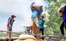 Giá vật tư tăng, nông dân ĐBSCL lo lắng bước vào vụ hè thu