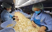 Chi cục Hải quan khu vực 2: Hàng xuất sang Mỹ bị hủy gần 14 tỉ đồng trong nửa tháng 4