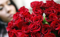 Giải mã gene, bất ngờ phát hiện hoa hồng đỏ vốn... màu vàng