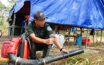 Có mưa đầu mùa nhưng Kiên Giang dự báo khoảng 20.000ha rừng có nguy cơ cháy cao