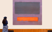 Một đứa trẻ làm hư bức tranh 56 triệu USD ở bảo tàng Hà Lan