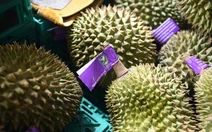 Trung Quốc tăng thời gian kiểm tra sầu riêng Thái Lan do sợ bị nhiễm thuốc