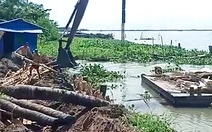 Triều cường lại gây ngập nhà cửa, vườn cây ăn trái ở miền Tây