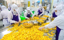 Công thức thành công của kinh tế tư nhân