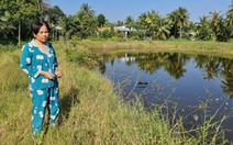 Vụ mua bảo hiểm tai nạn điện được 2 tháng thì bị điện giật chết: Chuyển hồ sơ về tòa án TP Mỹ Tho