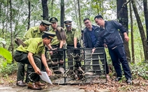 Mang chim đến quán cà phê không có giấy tờ sẽ bị phạt