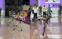 Robot biểu diễn kung fu ở Trung Quốc