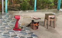 Cách nướng cá lóc độc lạ có 1-0-2