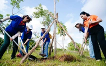 Kiều bào từ TP.HCM trồng cây, nhớ ơn Bác Hồ