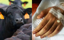 Thái Lan ghi nhận ca tử vong đầu tiên do bệnh than sau 30 năm, theo dõi 638 người