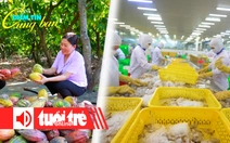 Điểm tin 8h: Giá ca cao tăng vọt; Nhiều doanh nghiệp Việt tăng tốc giao hàng sang Mỹ