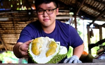 ‘Tân binh’ sầu riêng lăm le soán ngôi Musang King và Black Thorn