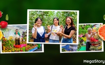 Lễ hội trái cây Nam Bộ 2025: từ mùa vụ đến văn hóa