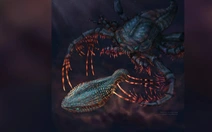 Răng người tiến hóa từ xương ngoài của một loài cá cổ đại?