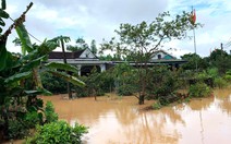 Hà Tĩnh: Hàng chục ngàn gia cầm chết, hơn 2.000 tấn thóc bị ướt do mưa lũ