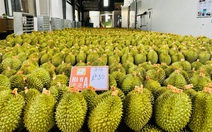 Việt Nam và Trung Quốc thống nhất tháo gỡ vướng mắc về xuất khẩu sầu riêng