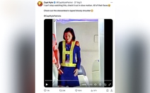 'Nữ tiếp viên Việt Nam đón Tổng thống Pháp Macron với bờ vai rướm máu' là tin giả