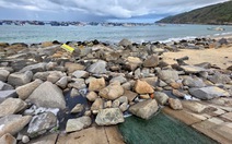 Nước thải đen ngòm, hôi thối xả ra biển ngoại ô Quy Nhơn